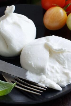 Burrata Cheese