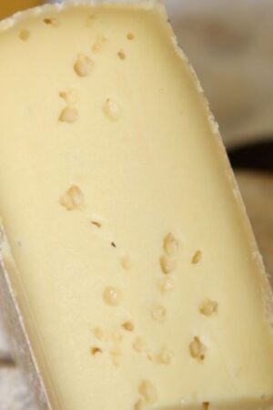 Plain Gouda