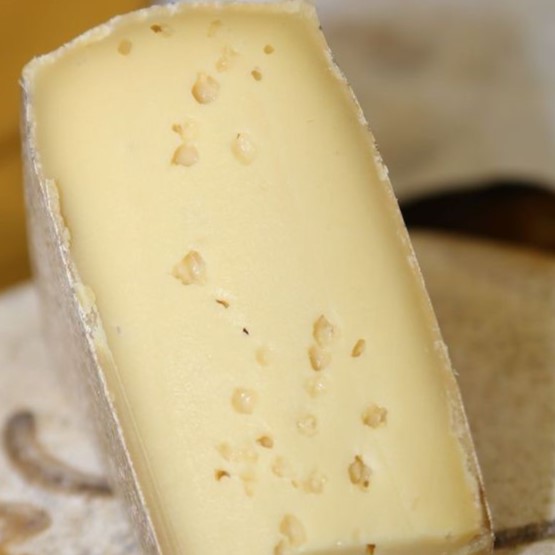 Plain Gouda
